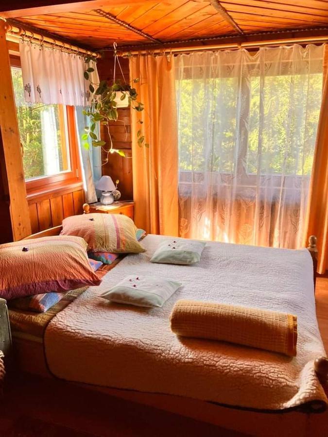 Chalupa Na Wierchu Zakopane Eksteriør billede